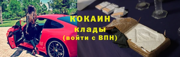 мдпв Волосово