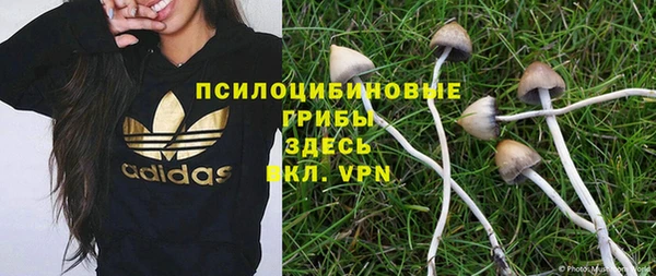 мдпв Волосово