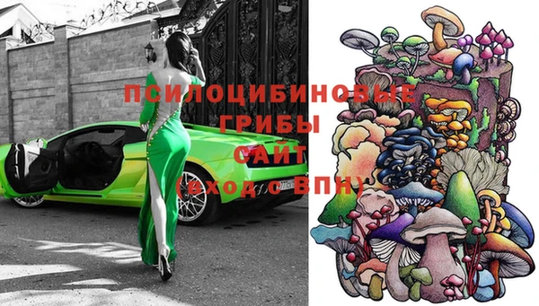 ALPHA PVP Покачи