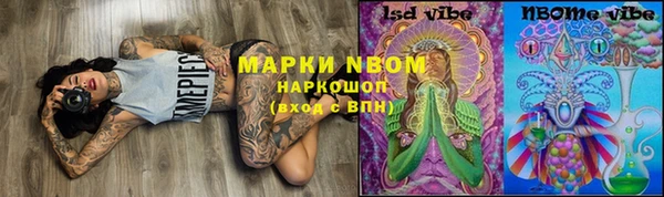 прущие грибы Володарск