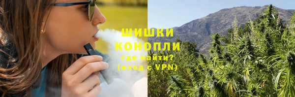 мдпв Волосово