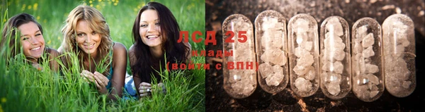 jwh Волоколамск